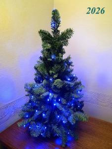 ������������� �����������