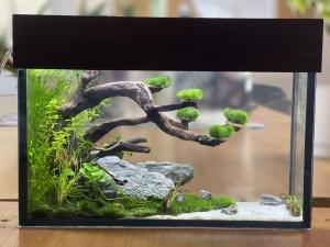 ������������� �����������