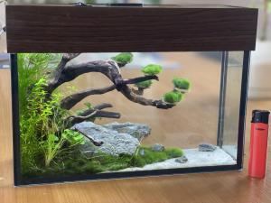 ������������� �����������