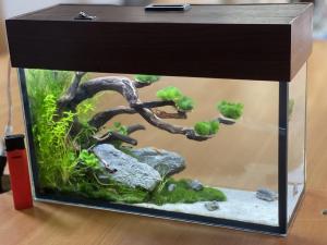 ������������� �����������