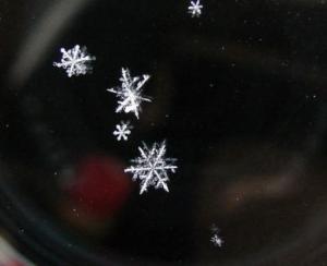 ������������� �����������