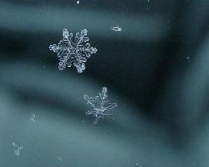 ������������� �����������