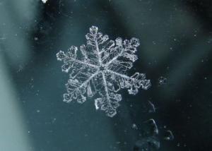 ������������� �����������