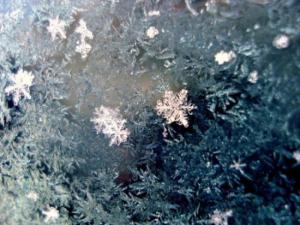 ������������� �����������