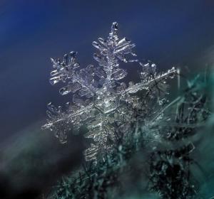 ������������� �����������