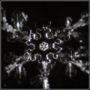 ������������� �����������