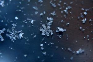 ������������� �����������