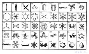 ������������� �����������