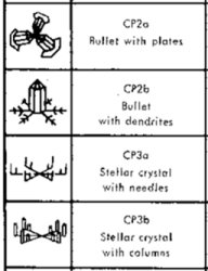 ������������� �����������