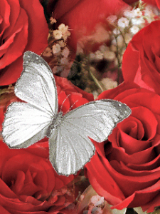 ������������� �����������