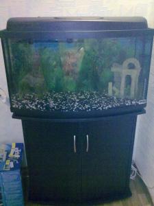 ������������� �����������