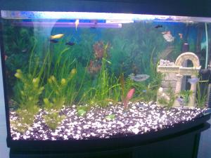 ������������� �����������