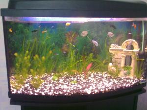 ������������� �����������