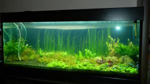 ������������� �����������