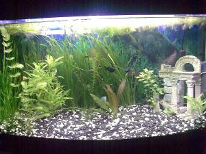 ������������� �����������