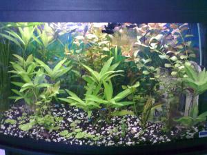 ������������� �����������