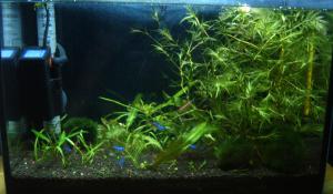 ������������� �����������