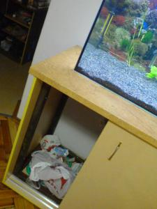 ������������� �����������