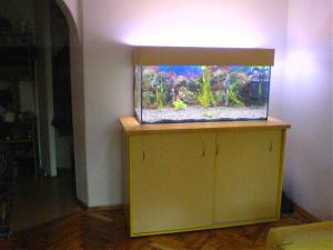 ������������� �����������