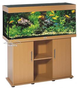 ������������� �����������