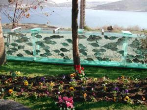 ������������� �����������