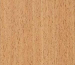 ������������� �����������