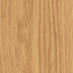 ������������� �����������