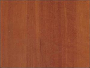 ������������� �����������