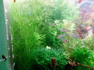 gallery_2124_19_18684.jpg