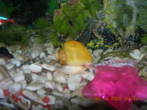 gallery_1949_31_923662.jpg