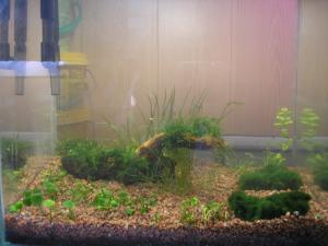 gallery_2880_9_170682.jpg