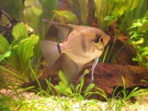 gallery_1289_38_23846.jpg