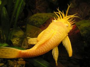 gallery_2880_9_45899.jpg