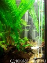 gallery_4016_50_20435.jpg