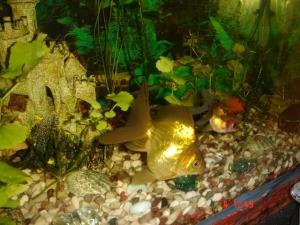 gallery_1949_60_129276.jpg