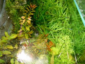 gallery_2082_71_893123.jpg