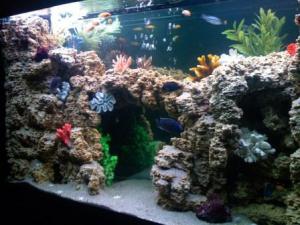 gallery_4304_5_23782.jpg