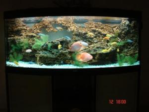 gallery_4304_5_2955.jpg