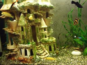 gallery_1385_108_30640.jpg
