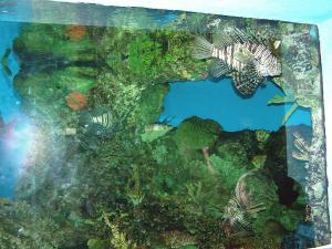 gallery_1522_134_339717.jpg
