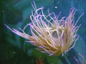 gallery_1522_134_363024.jpg