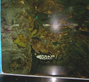 gallery_1522_134_374151.jpg
