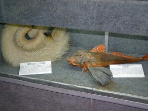 gallery_1522_134_443222.jpg