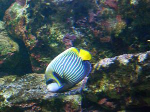 gallery_1522_134_475871.jpg