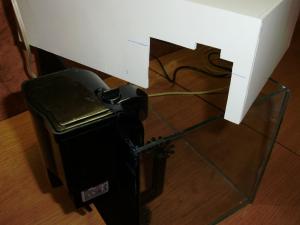 gallery_2241_193_211595.jpg