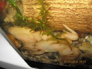 gallery_2600_200_323856.jpg