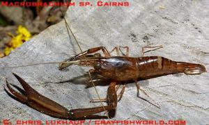 gallery_3102_210_31399.jpg