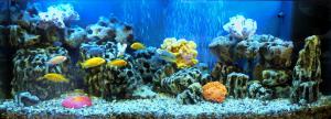 gallery_4722_214_376673.jpg
