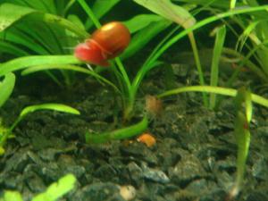 gallery_5831_225_432512.jpg