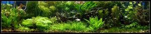 gallery_6735_228_546671.jpg